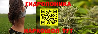 мдпв Ярославль